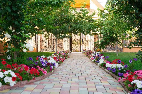 Plantation de fleurs - Clermont-Ferrand - AP PAYSAGES