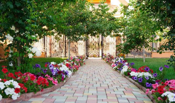 Plantation de fleurs - Clermont-Ferrand - AP PAYSAGES